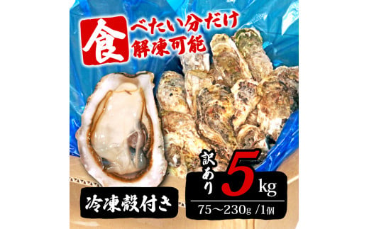 訳あり 牡蠣 5kg (生食可) かき カキ 冷凍 岩手県産 殻付き 生食 生食用 訳あり わけあり 大きさ不揃い 不揃い 三陸 三陸産 株式会社國洋 岩手県 大船渡市