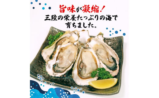 訳あり 牡蠣 5kg (生食可) かき カキ 冷凍 岩手県産 殻付き 生食 生食用 訳あり わけあり 大きさ不揃い 不揃い 三陸 三陸産 株式会社國洋 岩手県 大船渡市