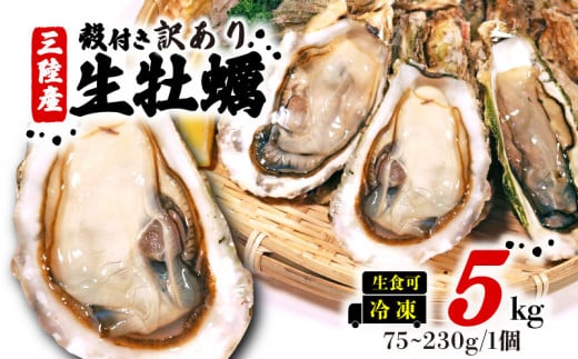 訳あり 牡蠣 5kg (生食可) かき カキ 冷凍 岩手県産 殻付き 生食 生食用 訳あり わけあり 大きさ不揃い 不揃い 三陸 三陸産 株式会社國洋 岩手県 大船渡市