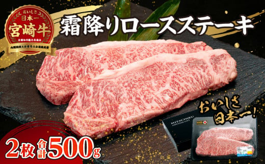 宮崎牛霜降り（ロース）ステーキ250g×2枚 計500g　A206