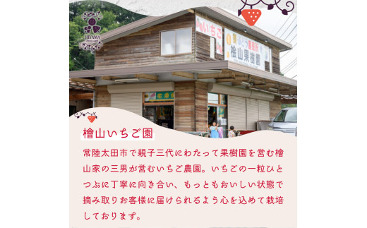 特大デラックスサイズ大粒いちご！茨城県産ブランド苺「いばらキッス」を朝採れの新鮮なままお届け！