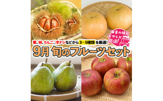 旬のフルーツセット 9月号【令和6年9月より発送開始】 田舎の頑固おやじが厳選！