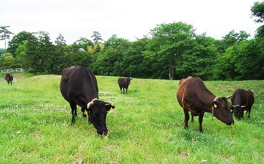 レンジで簡単!お肉屋さんの手作りハンバーグ(常陸牛入り)【配送不可地域：離島】[1個(加熱調理前150g)×7パック]【ハンバーグ 冷凍 電子レンジ 真空 小分け 個包装 肉汁たっぷり 大容量 国産 合挽き 牛肉 豚肉 お弁当 おかず 惣菜 晩ごはん 贅沢 人気 肉 にく ミート】