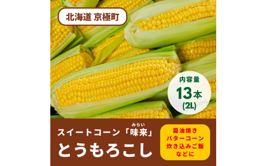 2024年夏発送！ 北海道羊蹄山麓 スイートコーン「味来」2Lサイズ 13本 ［JAようてい］【 野菜 とうもろこし とうきび みらい 生 冷蔵 】