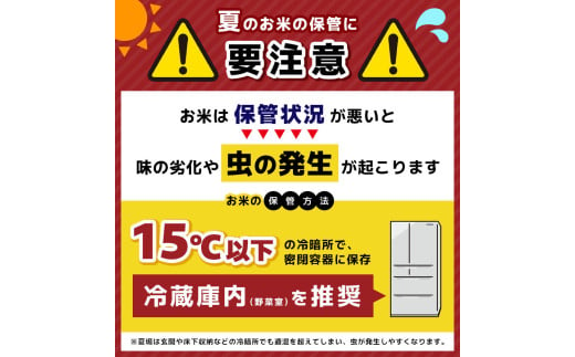 【定期２回】小砂 [こいさご] ホタル米 20kg ｜米 白米 おいしい お米 こめ おこめ 白米 精米 国産 ごはん ご飯 白飯 米 おこめ 白米 精米ゴハン ランキング 人気  ふるさと 納税 栃木県 那珂川町 送料無料