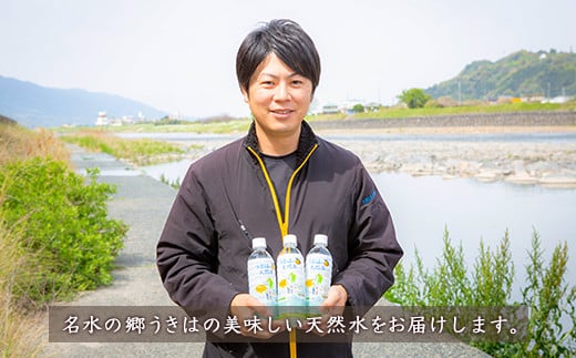 うきは名水 うきはの天然水 (500ml×24本入り) 1箱 ナチュラルミネラルウォーター