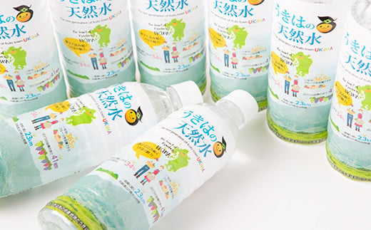 うきは名水 うきはの天然水 (500ml×24本入り) 1箱 ナチュラルミネラルウォーター