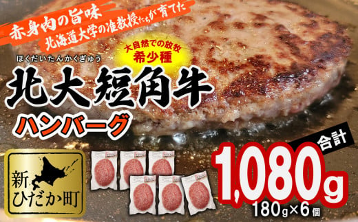 北海道産 北大 短角牛 ハンバーグ 計 1080g (180g×6枚) 日本短角牛 ハンバーグステーキ 牛肉 希少 北海道大学