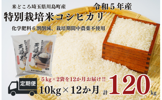 定期便 12か月連続お届け 特別栽培米 コシヒカリ 白米 10kg （5kg×2袋）×12回  計120kg 食味値80以上 栽培期間中農薬不使用 有機肥料 かわじま町の天領米 令和5年産 2023年産 小分け 米 コメ 安心 安全  減農薬 埼玉県認証 埼玉県 川島町