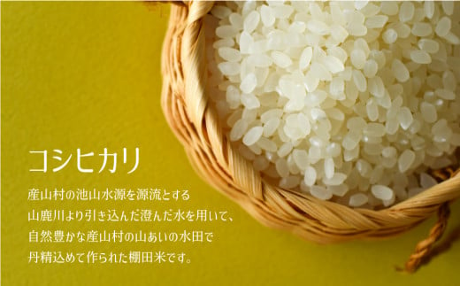 ＜令和6年産新米＞阿蘇うぶやまのコシヒカリ５kg袋