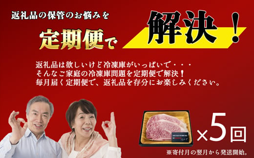 【お肉定期便】博多和牛サーロインステーキ5回定期便（500g×5回）計2.5kg[F0128T5]