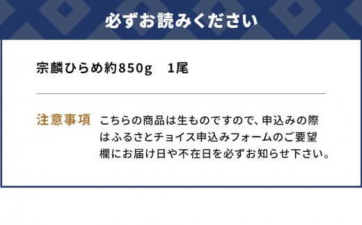 箱入り宗麟ひらめ 1尾 ヒラメ 平目 鮃 刺身 刺し身 生魚 新鮮 大分県産 九州産 津久見市 国産