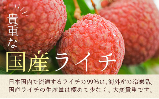 ＜限定50セット＞宮崎県産 生ライチ「至高の紅玉」大粒12個入【C366-24】