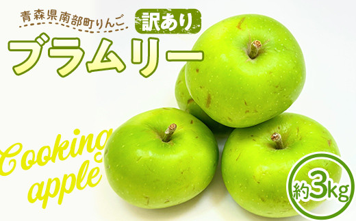 【訳あり】希少品種りんご ブラムリー 約3kg 【四戸農園】 青森県エコファーマー認定 減農薬 有機肥料 青森りんご リンゴ 林檎 アップル あおもり 青森 青森県 南部町 果物 くだもの フルーツ 訳アリ わけあり 家庭用 規格外 F21U-332