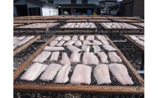  勝浦産　天日干し干物　さめのたれ塩（500g×2）