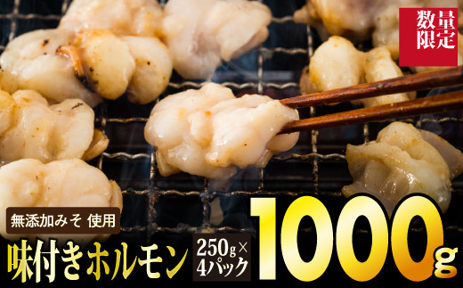 【数量限定】1,000g 味付ホルモン（定期便12回）P-145