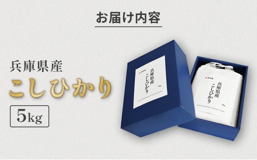 お米 令和6年産 兵庫県産コシヒカリ5kg 米 お米 新米 こめ コメ 白米 兵庫県 伊丹市[№5275-0201]