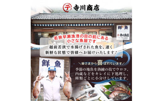 簡単で便利！手軽で新鮮な 若狭 秋～冬の 天然 鮮魚セット 計1.3kg【2023年10月5日から10月26日まで発送】[m21-a018]