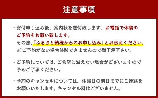 体験 ウェイクサーフィン 2時間 [SHOP川口機工 宮崎県 美郷町 31bj0012] アクティビティ 船 貸し切り 貸切 夏 スポーツ体験 スポーツ コース マリンスポーツ 利用券 利用権 宮崎県 送料無料