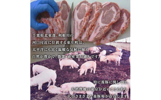 【3ヶ月定期便】東庄町産SPF豚肉 焼肉＆しゃぶしゃぶセット 計2kg×3回