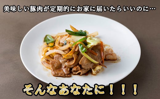 ＜定期便6回＞ 北海道産 健酵豚 小間切れ 計 1.2kg (全7.2kg) 定期便 豚肉 ブランドポーク 大容量 小分け こま切れ