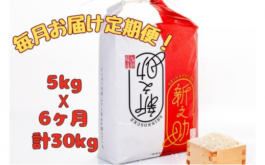 【通年受付】魚沼産新之助　精米5kg　全6回 十日町市 十日町 米