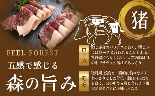 飛騨ジビエ 猪肉 しゃぶしゃぶ 300g | ジビエ しゃぶしゃぶ 鍋 猪肉 高たんぱく ヘルシー 自然派 猟師 飛騨狩人工房 うり坊屋 飛騨高山 株式会社かりびと HN006