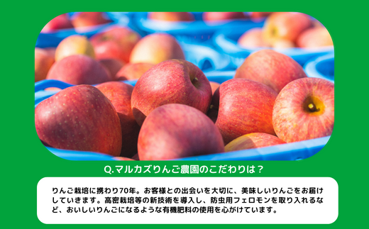 りんご サンふじ 家庭用 ( 小玉 ) 5kg マルカズりんご農園 沖縄県への配送不可 2024年11月下旬頃から2025年1月中旬頃まで順次発送予定 令和6年度収穫分 信州 果物 フルーツ リンゴ 林檎 長野 11000円 予約 農家直送 長野県 飯綱町 [0952]