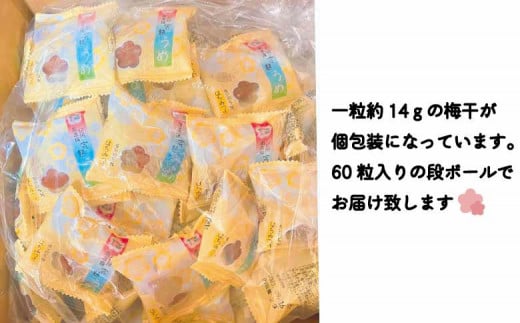 はちみつ梅干　フレッシュ感そのまま個包装タイプ　14g(2L)×60粒　紀州南高梅　完熟うめ　塩分約5％ A-536