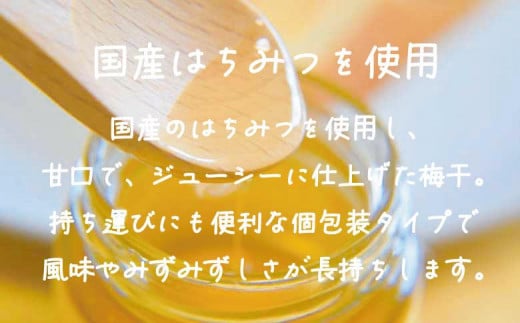 はちみつ梅干　フレッシュ感そのまま個包装タイプ　14g(2L)×60粒　紀州南高梅　完熟うめ　塩分約5％ A-536