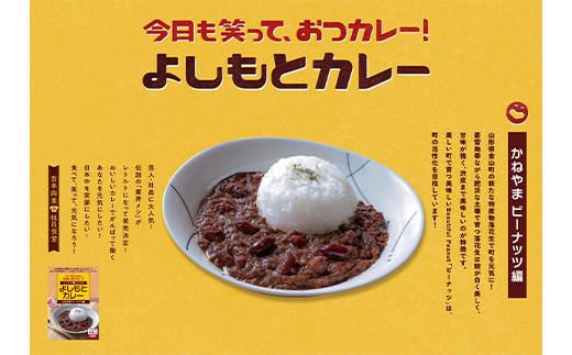 よしもとカレー かねやま ビーナッツ編と金山産 キューブ米（3個）のセット F4B-0340