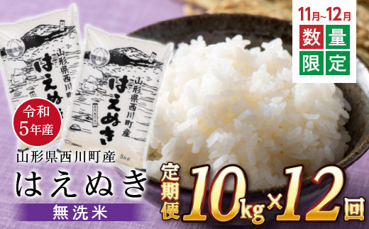 FYN9-997 【定期便12回】令和5年産 山形県 西川町産 無洗米 はえぬき 10kg 2024年1月から発送開始! ≪11～12月 お申込み 数量限定! 早い者勝ち!! ≫ 精米 白米 米 お米 ブランド米 ごはん ご飯 月山