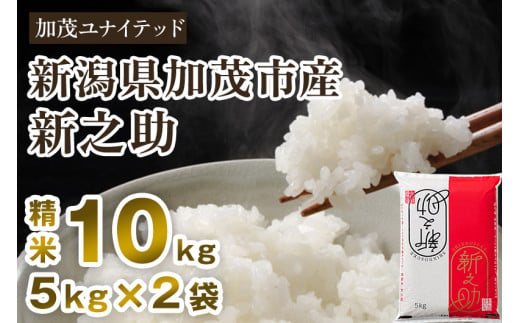 【令和6年産新米先行予約】新潟県産 新之助 精米 10kg （5kg×2袋） 東京・南青山の料亭で使用される極上米 加茂市 加茂ユナイテッド