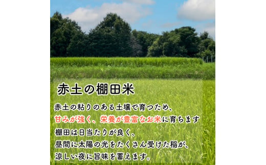 お米 新米 コシヒカリ 5kg 令和6年産 米 こめ ご飯 ごはん おにぎり 白米 食品 備蓄 備蓄米 保存 防災 ギフト 贈答 プレゼント お取り寄せ グルメ 送料無料 徳島県 阿波市 やまさ農園