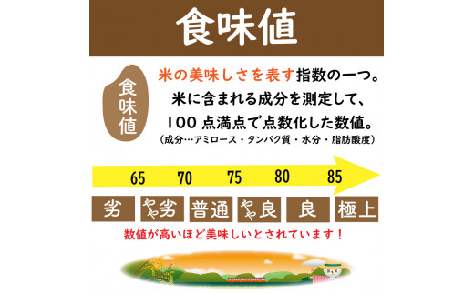 お米 新米 コシヒカリ 5kg 令和6年産 米 こめ ご飯 ごはん おにぎり 白米 食品 備蓄 備蓄米 保存 防災 ギフト 贈答 プレゼント お取り寄せ グルメ 送料無料 徳島県 阿波市 やまさ農園