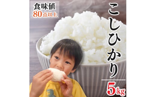 お米 新米 コシヒカリ 5kg 令和6年産 米 こめ ご飯 ごはん おにぎり 白米 食品 備蓄 備蓄米 保存 防災 ギフト 贈答 プレゼント お取り寄せ グルメ 送料無料 徳島県 阿波市 やまさ農園