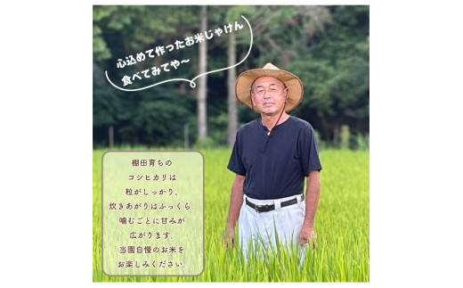 お米 新米 コシヒカリ 5kg 令和6年産 米 こめ ご飯 ごはん おにぎり 白米 食品 備蓄 備蓄米 保存 防災 ギフト 贈答 プレゼント お取り寄せ グルメ 送料無料 徳島県 阿波市 やまさ農園