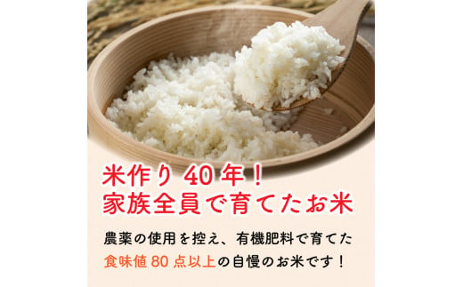 お米 新米 コシヒカリ 5kg 令和6年産 米 こめ ご飯 ごはん おにぎり 白米 食品 備蓄 備蓄米 保存 防災 ギフト 贈答 プレゼント お取り寄せ グルメ 送料無料 徳島県 阿波市 やまさ農園