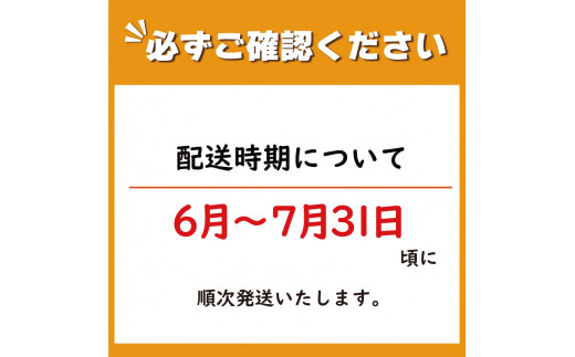 かぼちゃ 10kg くり将軍 6~9玉 野菜 カボチャ 南瓜 10キロ 1万円 10000円 旬 令和5年産 2023年産 阿波市 徳島県