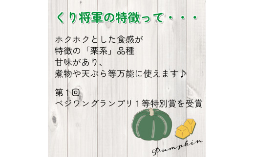 かぼちゃ 10kg くり将軍 6~9玉 野菜 カボチャ 南瓜 10キロ 1万円 10000円 旬 令和5年産 2023年産 阿波市 徳島県