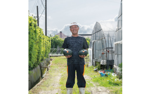 かぼちゃ 10kg くり将軍 6~9玉 野菜 カボチャ 南瓜 10キロ 1万円 10000円 旬 令和5年産 2023年産 阿波市 徳島県