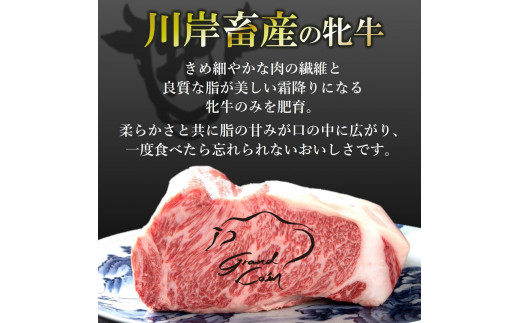 【神戸牛 牝】【７営業日以内に発送】牛ミンチ肉 500g 川岸畜産 ひき肉 挽き肉 ミンチ 挽肉(08-40)