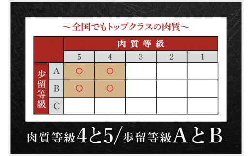 常陸牛100％ ハンバーグ 約120g×6個 (KCW-9)