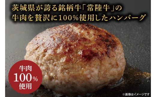 常陸牛100％ ハンバーグ 約120g×6個 (KCW-9)