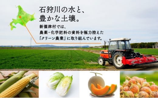 北海道 新しのつ産 白菜 2玉 約6kg ハクサイ 農作物 野菜 葉物野菜 葉物 冬野菜 旬 国産 北海道産 生 甘い ヘルシー 漬物 鍋 鍋料理 煮込み料理 キムチ シャキシャキ 産地直送 お取り寄せ 産直 冷蔵 送料無料