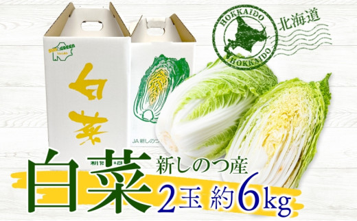 北海道 新しのつ産 白菜 2玉 約6kg ハクサイ 農作物 野菜 葉物野菜 葉物 冬野菜 旬 国産 北海道産 生 甘い ヘルシー 漬物 鍋 鍋料理 煮込み料理 キムチ シャキシャキ 産地直送 お取り寄せ 産直 冷蔵 送料無料