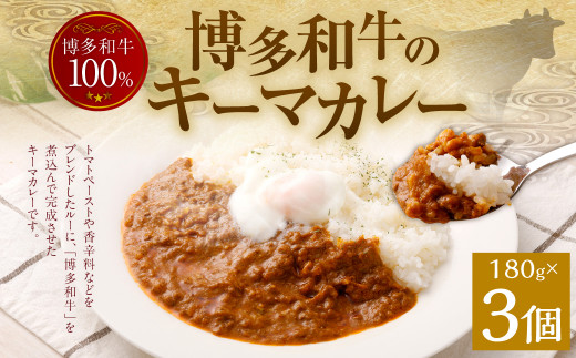 100％博多和牛のキーマカレー 3個入り 