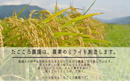 【6ケ月連続お届け】令和6年度産 新米 先行予約 コシヒカリ 10kg 一等米 米 お米 おこめ こめ コメ 白米 精米 ご飯 ごはん たごころ農園 福井県 福井 [№5580-0538]