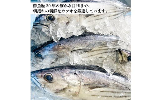 厳選 朝獲れ カツオ タタキセット 600 - 700g タレ付き 冷凍 ( かつお 鰹 鮮魚店 海鮮 魚介 おかず おつまみ 惣菜 晩ごはん 本場 高知 ) MYK002