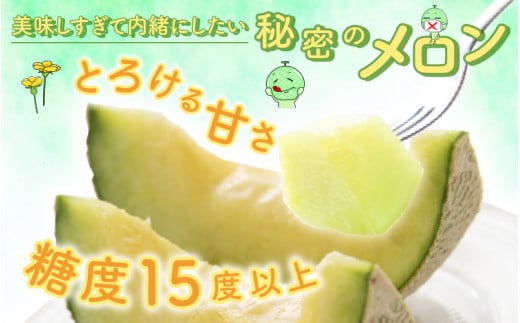 【先行予約】若猪野アールスメロン 1.7kg 以上 1玉 箱入り ※2025年8月下旬より順次発送 [A-011009]